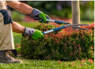 Landscaping Services